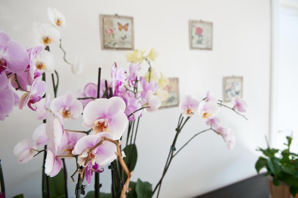 Mimi B&B Равелло Номер фото